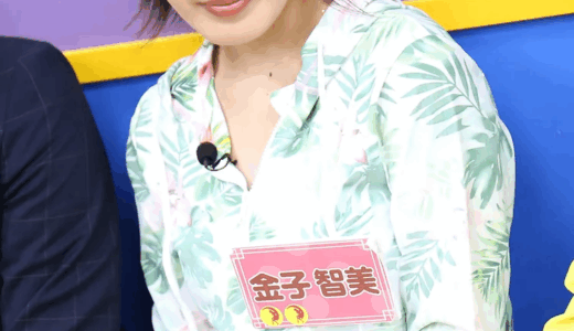 元AKB　金子 智美の経験人数は100人だった　エロ画像